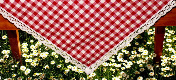 rot-weiß karierte Tischdecke mit Klöppelspitze